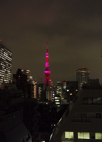 Pink Day At Tokyo Tower