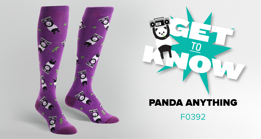 Get to Know Panda Anything