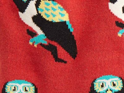 Birds of Prey Sock Detail