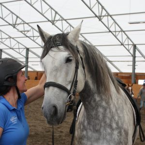 Amber Varner uses equine therapy to help humans and horses